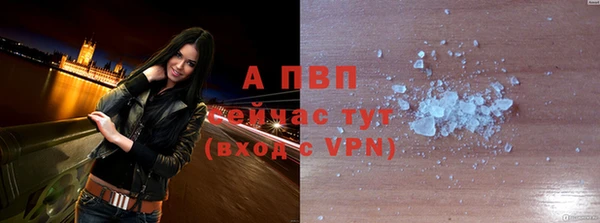 прущие крисы Белокуриха