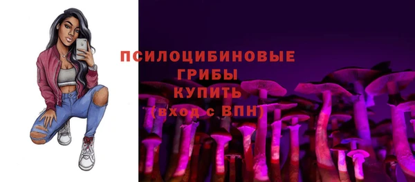 прущие крисы Белокуриха