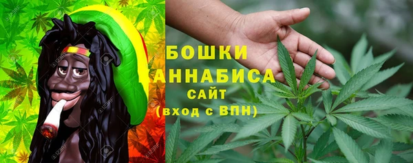 прущие крисы Белокуриха