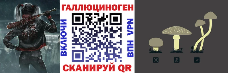 Купить где  Волгореченск  Галлюциногенные грибы Psilocybe 